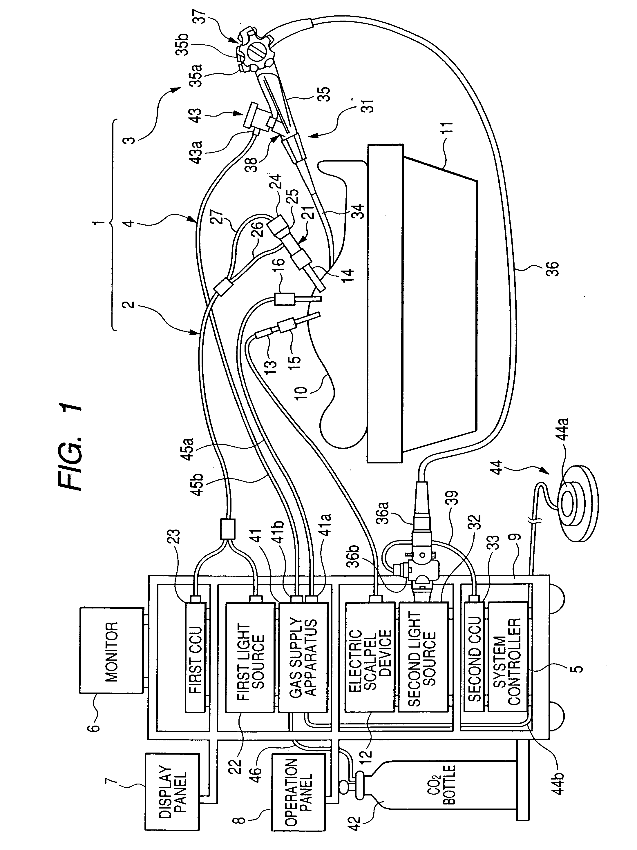 Method and system for supplying predetermined gas into body cavities of a specimen