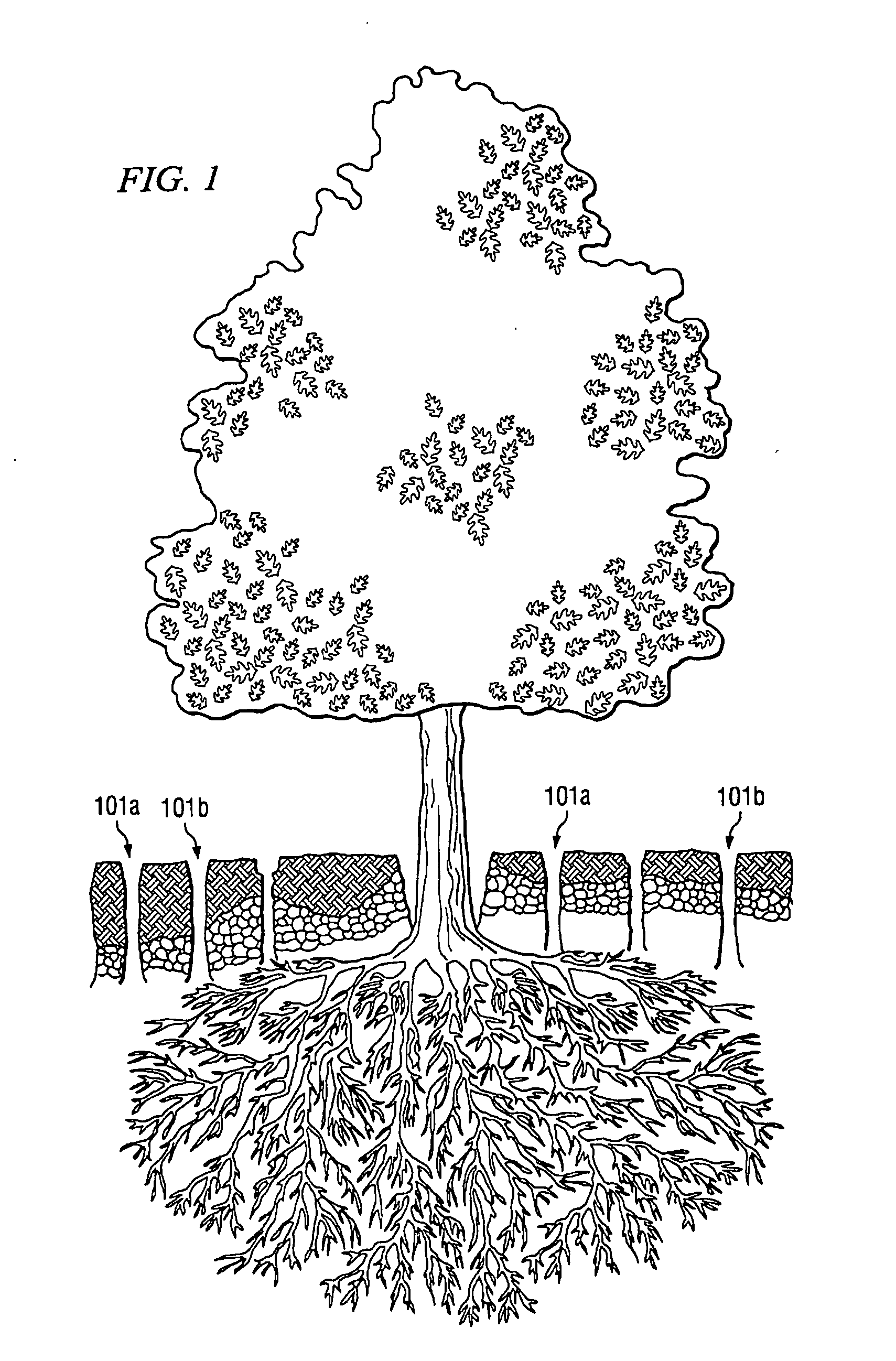 Methods and mixtures for treating distressed trees