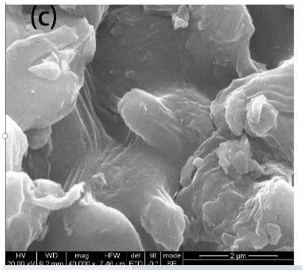 Preparation method of racomitrium canescens charcoal adsorbent