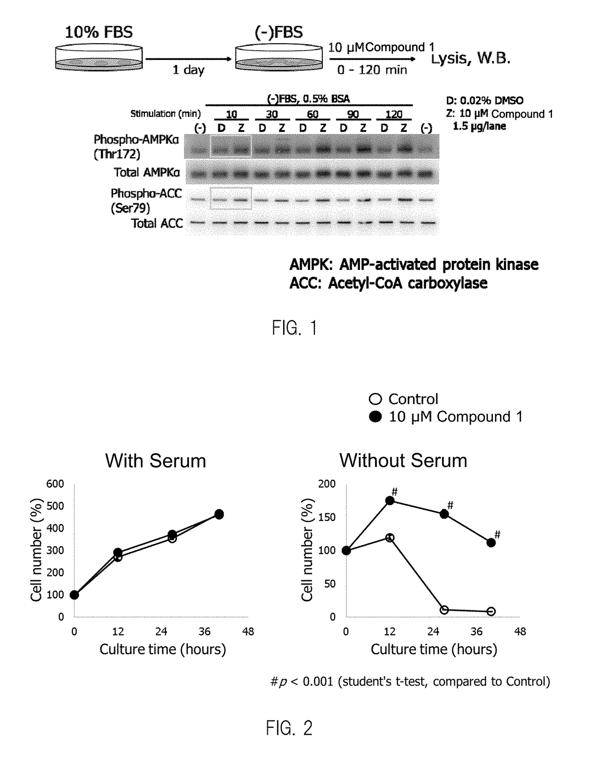 Composition having compound accelerating phosphorylation of ampk as effective component