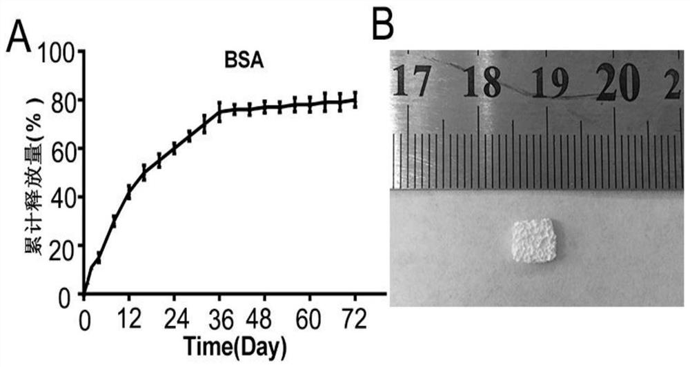 Preparation method of universal drug-loaded calcium phosphate cement (CPC) porous scaffold