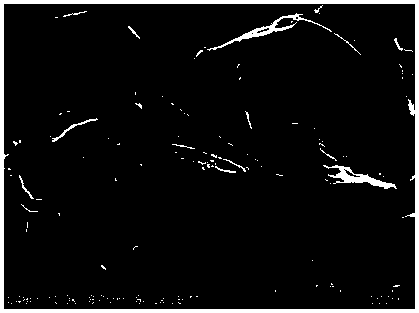 B,N-codoped porous carbon nanosheet and preparation method and usage thereof