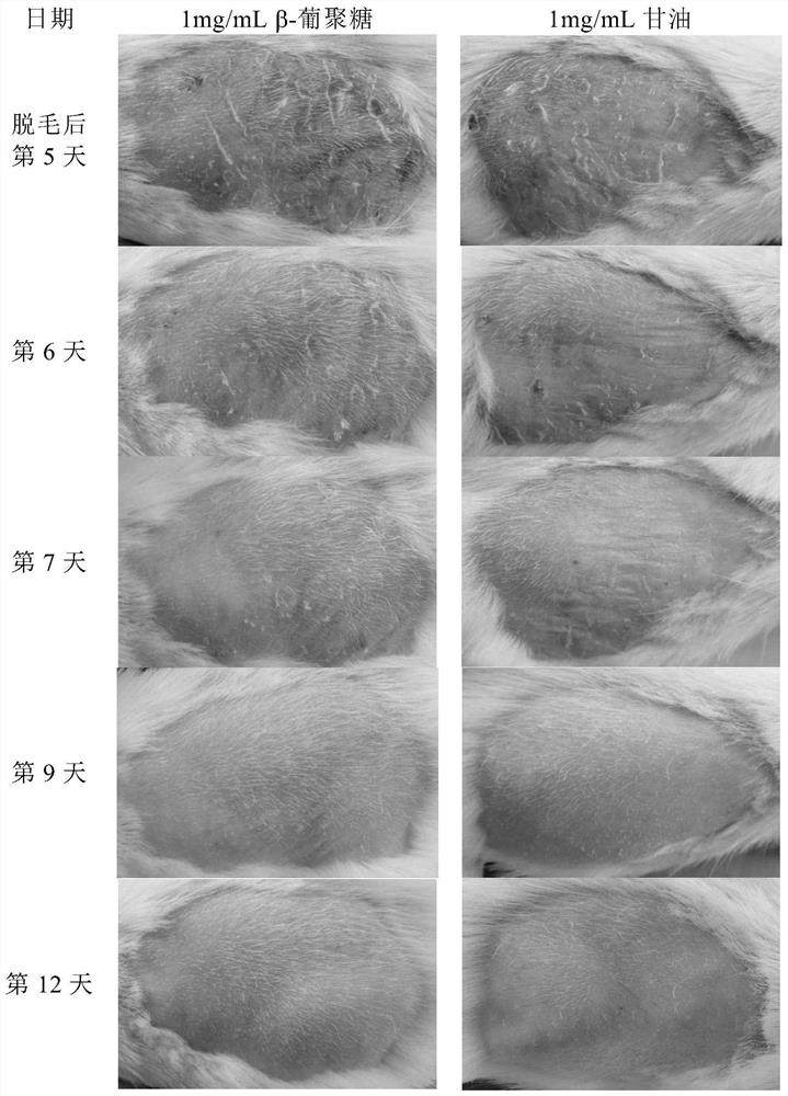 Biological polysaccharide with hair growth and hair loss prevention and its application