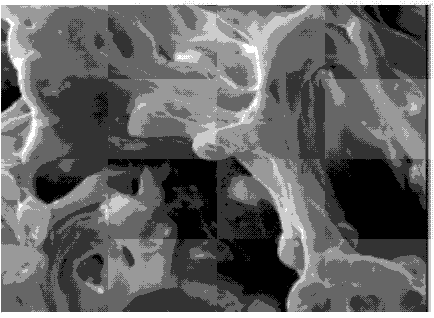 Tissue- engineered cartilage graftimplant and preparation method thereof