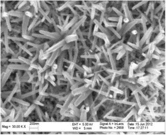 Manufacture method for chlorine-evolution dimensionally stable anode (DSA) electro-catalytic electrode with three dimensional structure