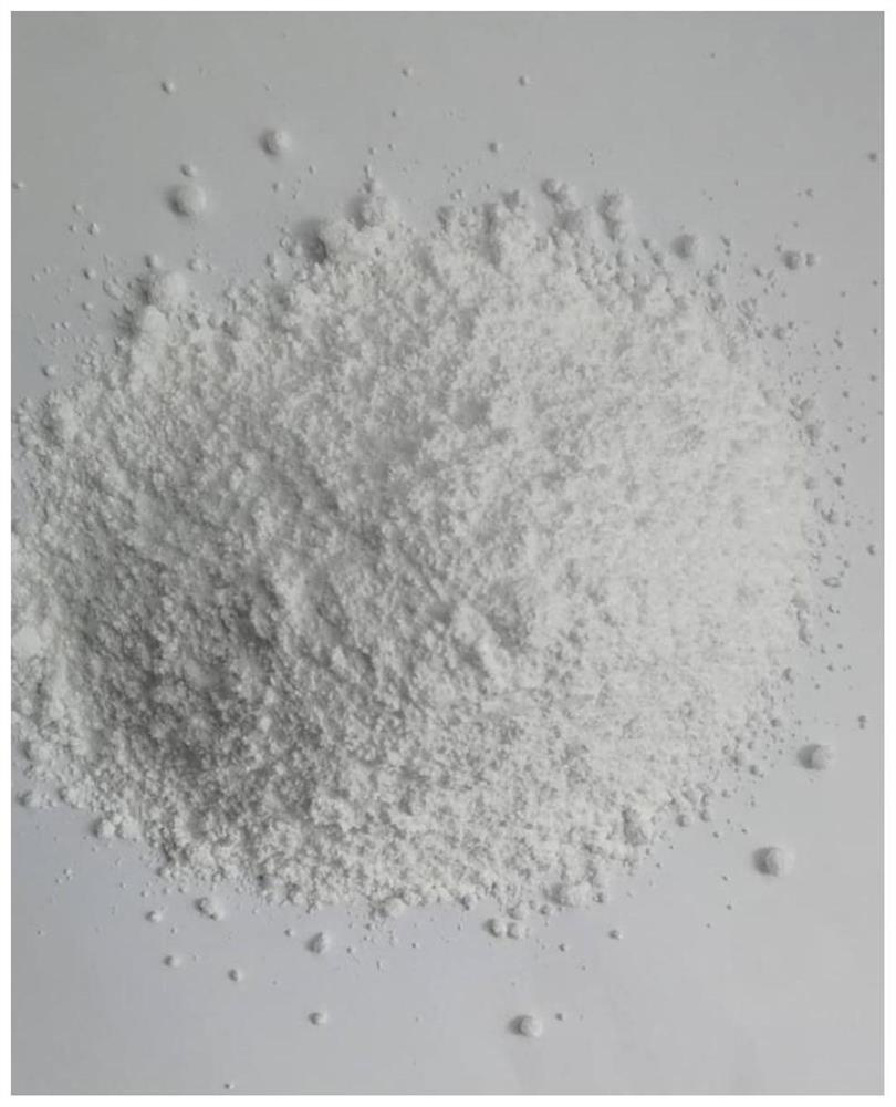 Sterilization washing powder containing zinc pyrithione antibacterial agent and preparation method of sterilization washing powder