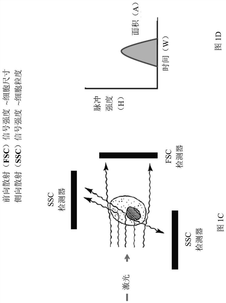 System and method for determining lung health