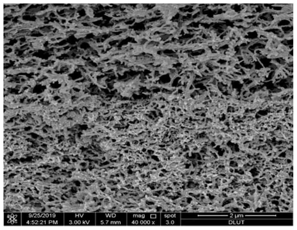 Preparation and application of positive electrode-interlayer integrated membrane electrode material for lithium-sulfur battery