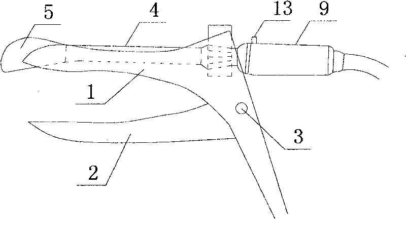 Multipurpose novel vaginal speculum and monitor device in ultrasound guiding operation composed of the same