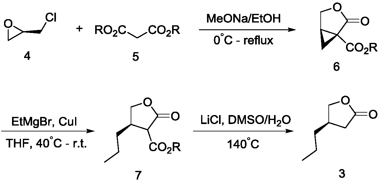 Preparation method of (R)-3-propyl-gamma-butyrolactone