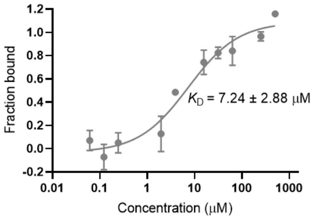 Polysubstituted purine compound as well as preparation method and application thereof