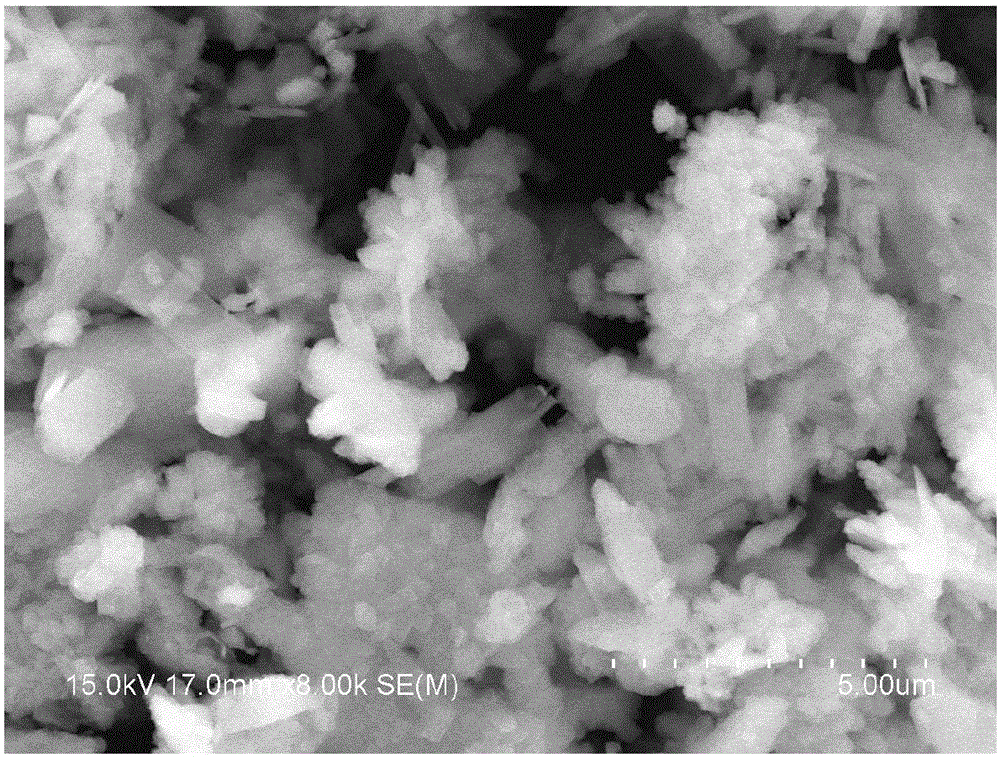 Phenol wastewater treatment method and preparation method of CuO/ZSM-5 catalyst