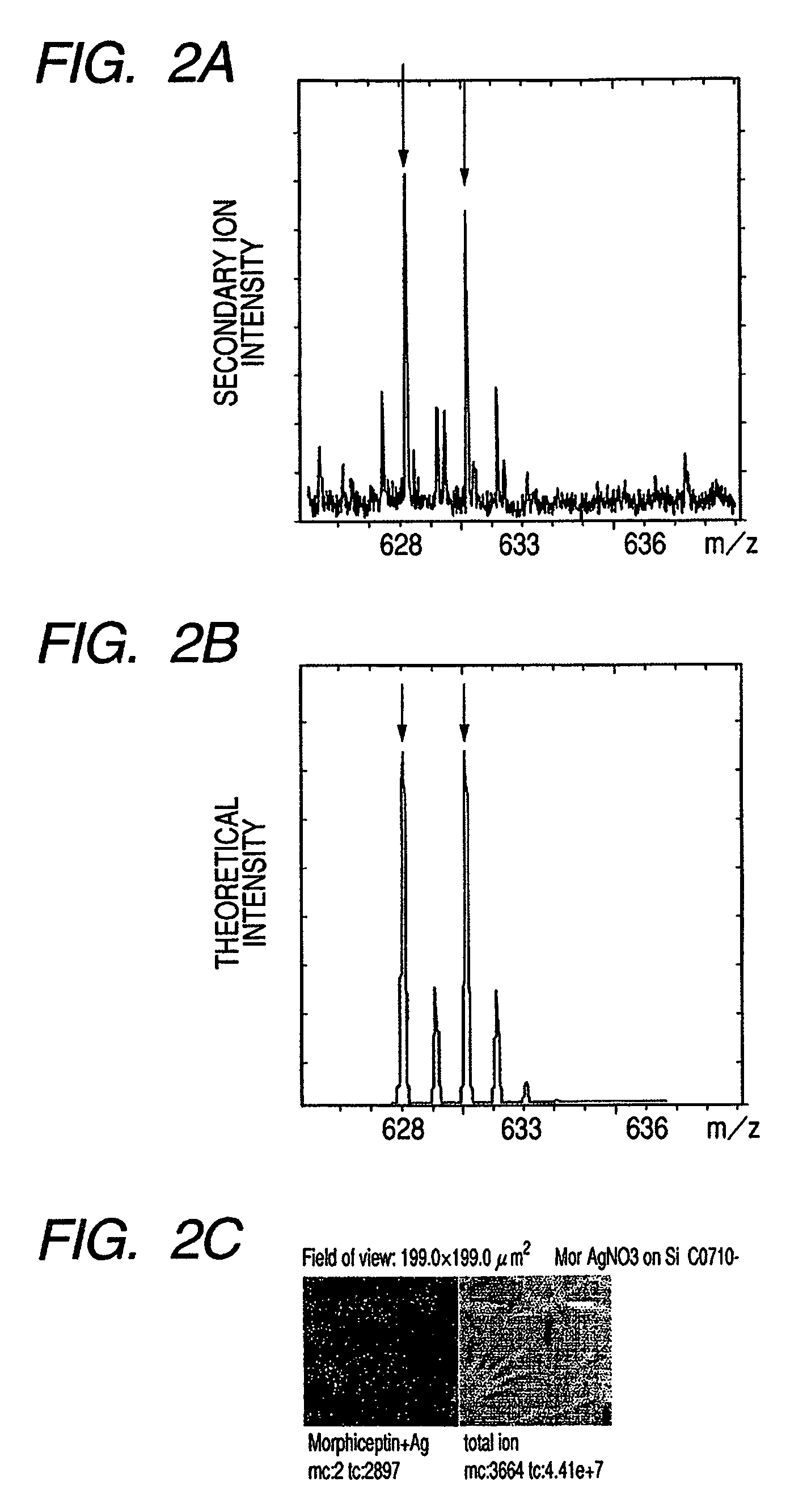 Information acquisition method, information acquisition apparatus and disease diagnosis method