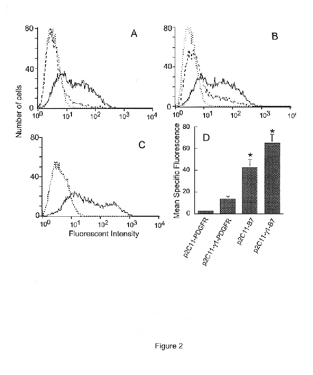 Chimeric protein and method of controlling tumor growth using the protein