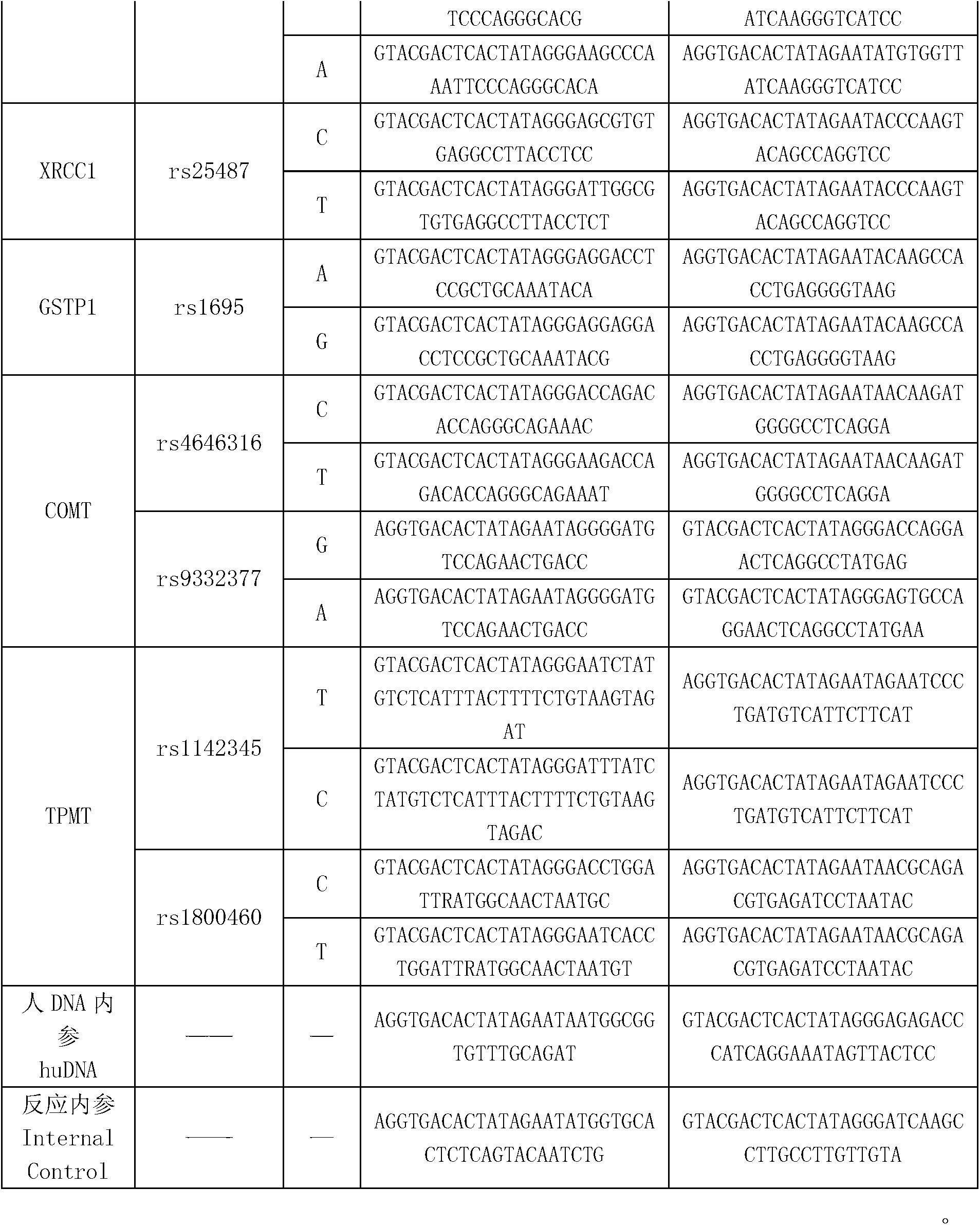 Multi-gene detection kit for guiding administration of platinum drugs and detection method of multi-gene detection kit