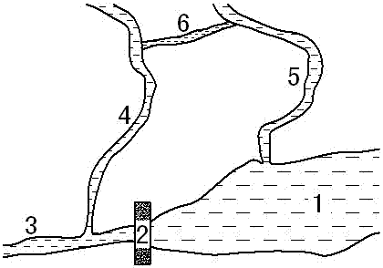 Structure for constructing ecological fish and water passing passage by using branches