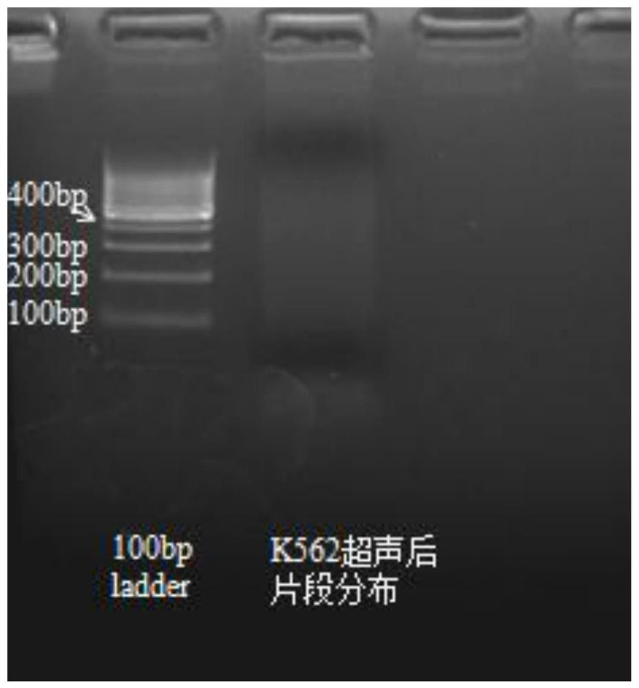 A kit, method and application for detecting the interaction between protein and dna