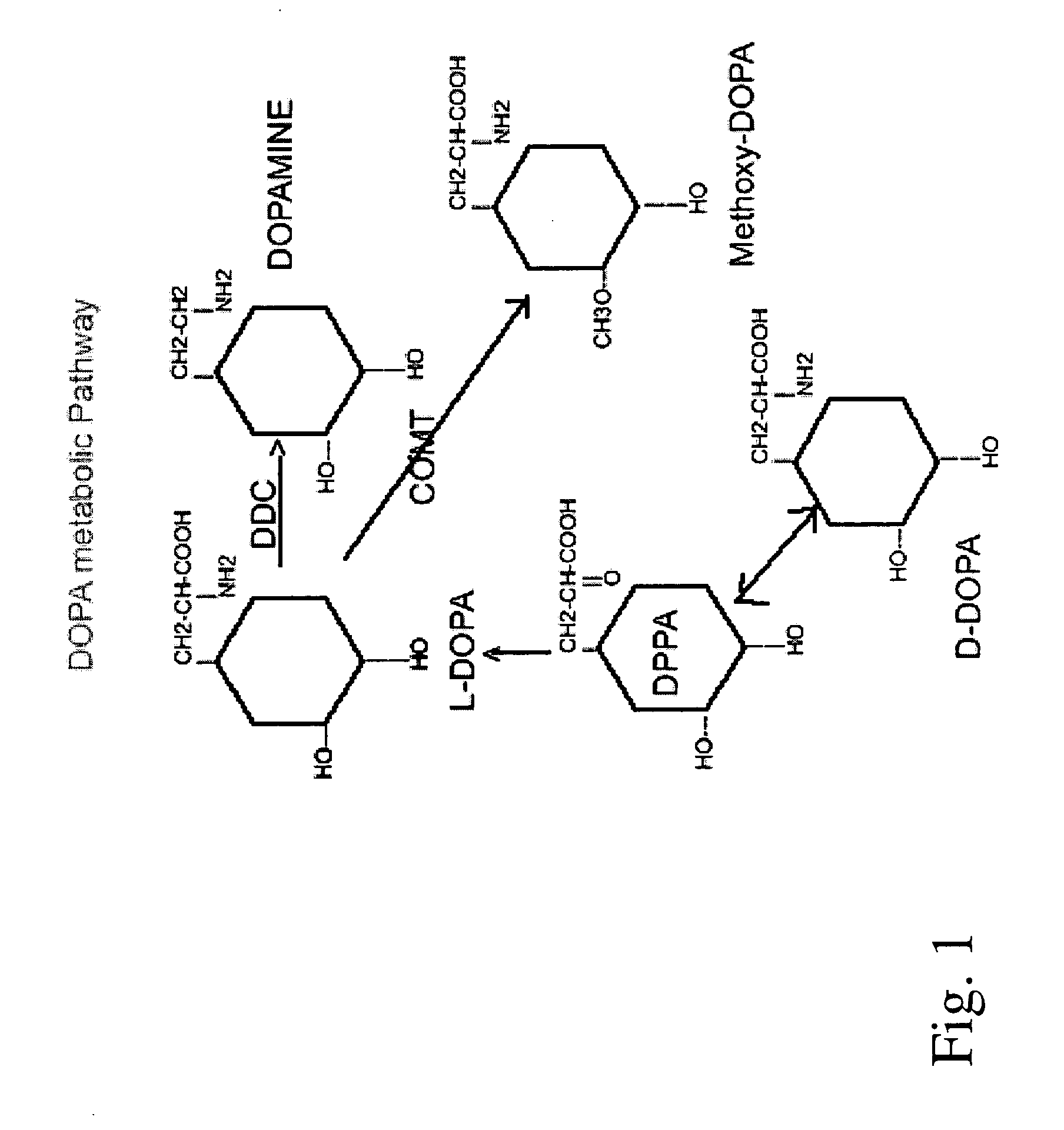 Compositions and methods of using D-DOPA to treat Parkinson's disease