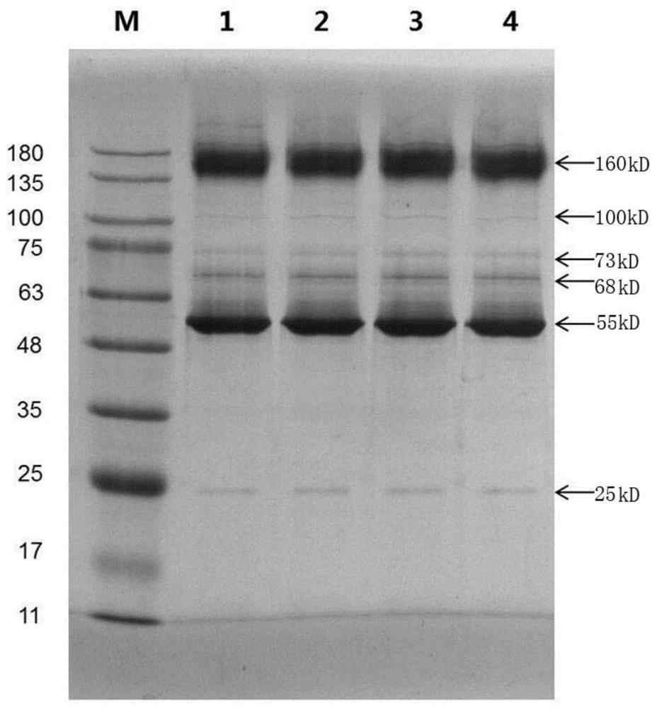 A kind of mixture for improving memory and its preparation method and application