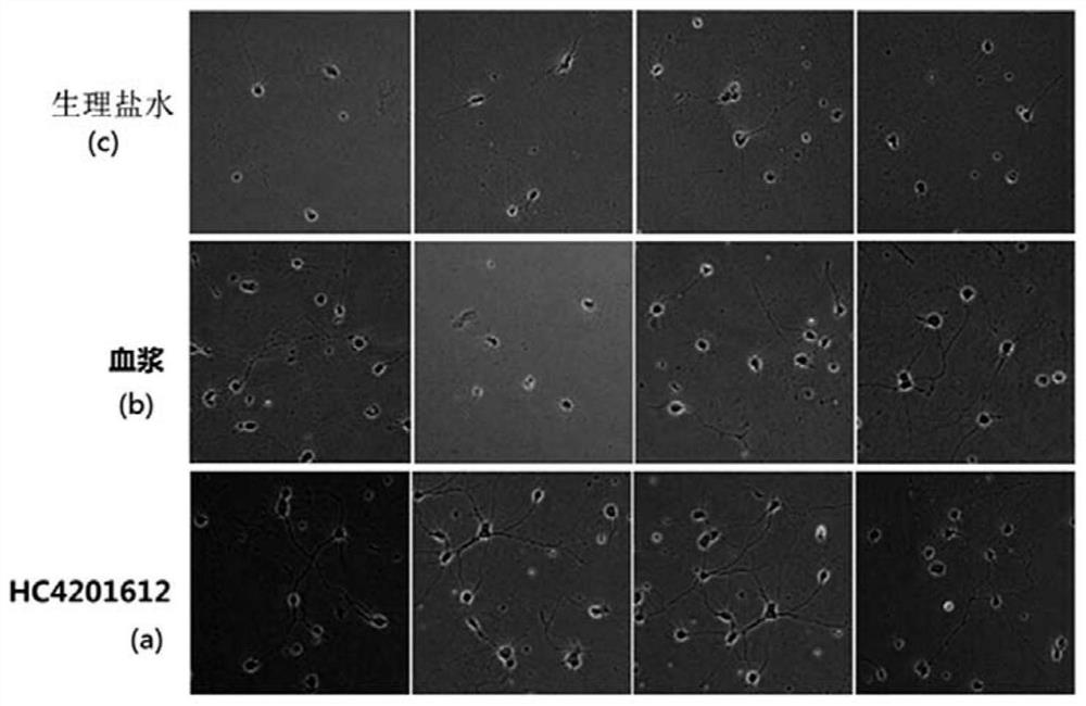 A kind of mixture for improving memory and its preparation method and application