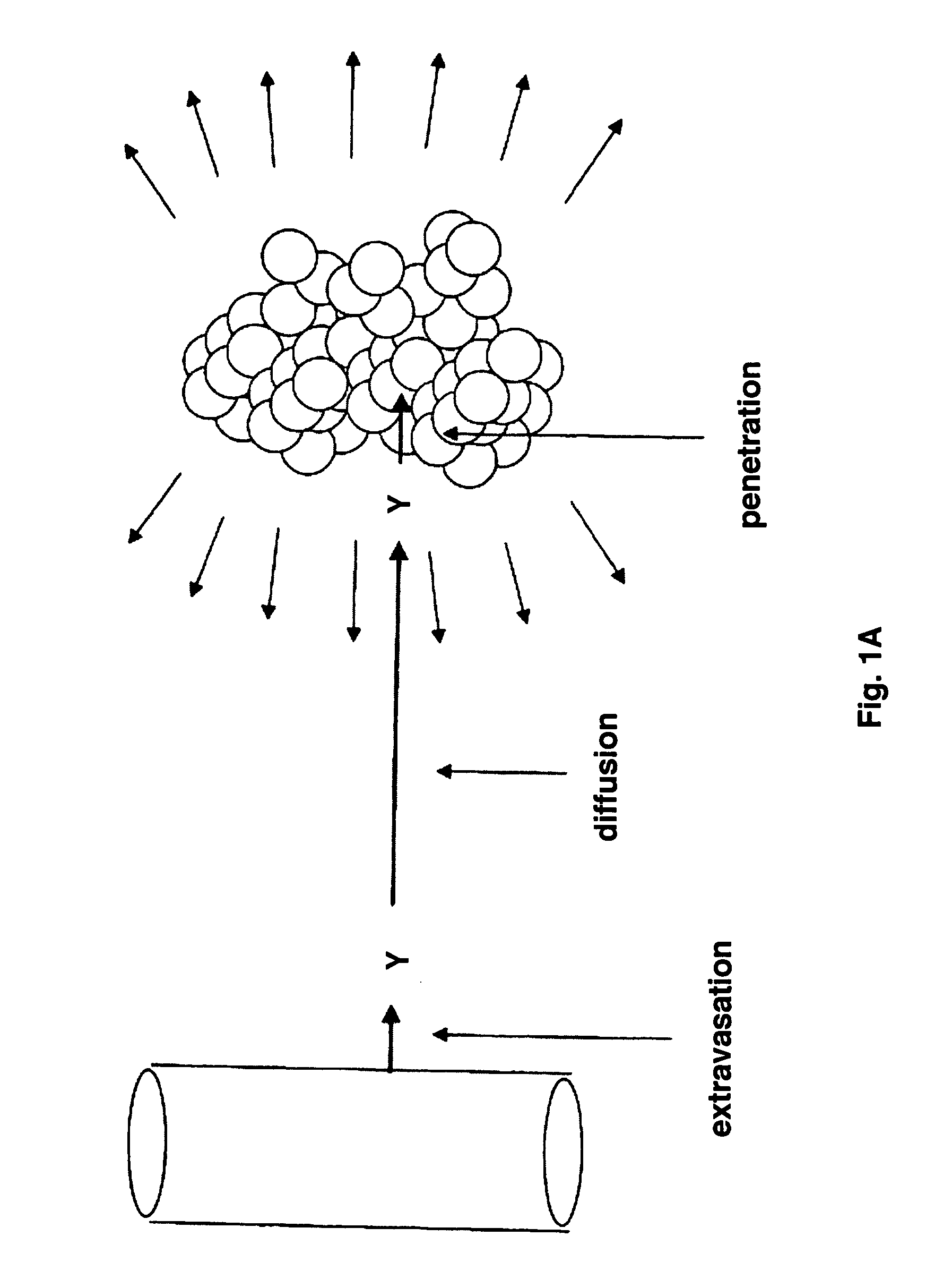 Alpha-Emitting constructs and uses thereof