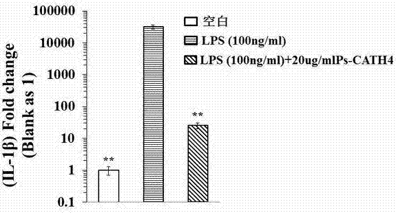 Application of Chinese soft-shelled turtle cathelicidin-ps-cath4 peptide in the preparation of anti-inflammatory drugs