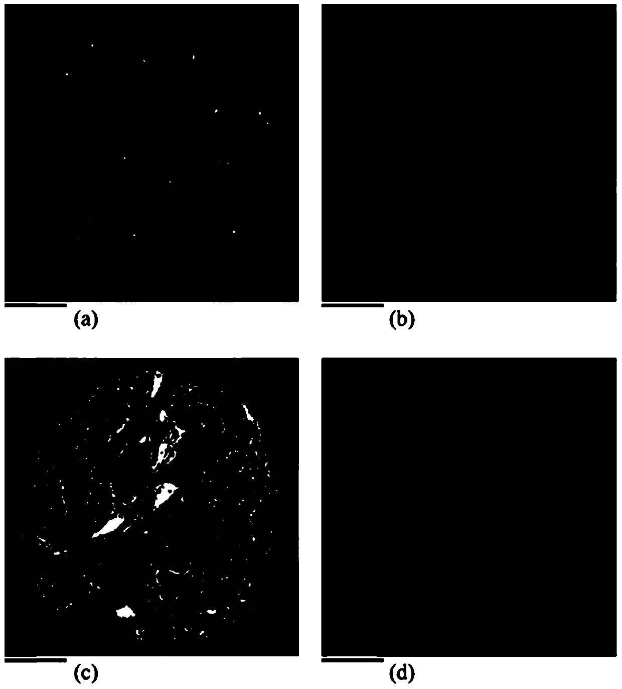 Method for extracting pore structure of whole soil aggregate in CT digital image