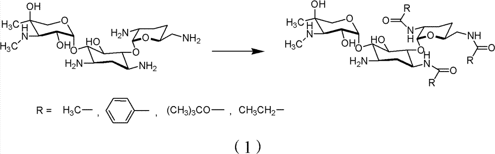 Method for removing divalent metal ion from antibiotic etimicin liquid medicine