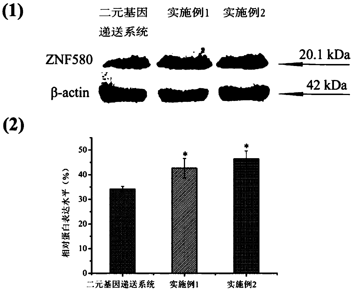 A ternary gene delivery system based on penetrating peptide and its application