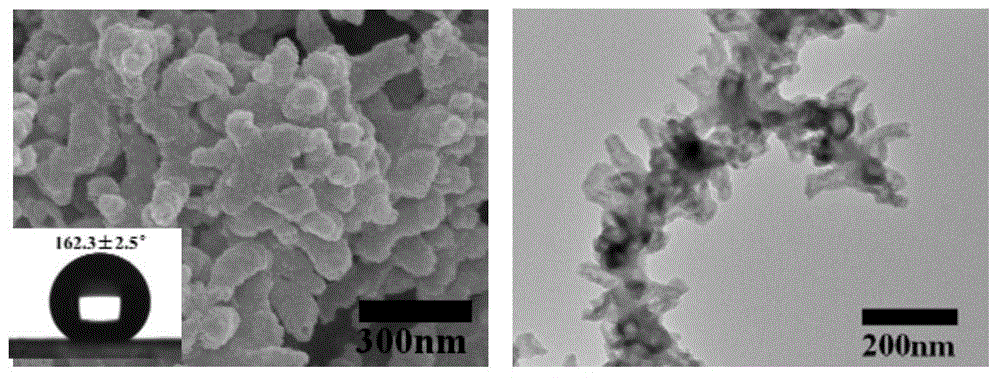 Preparation method and application of super-hydrophobic nanofibers of coral structure