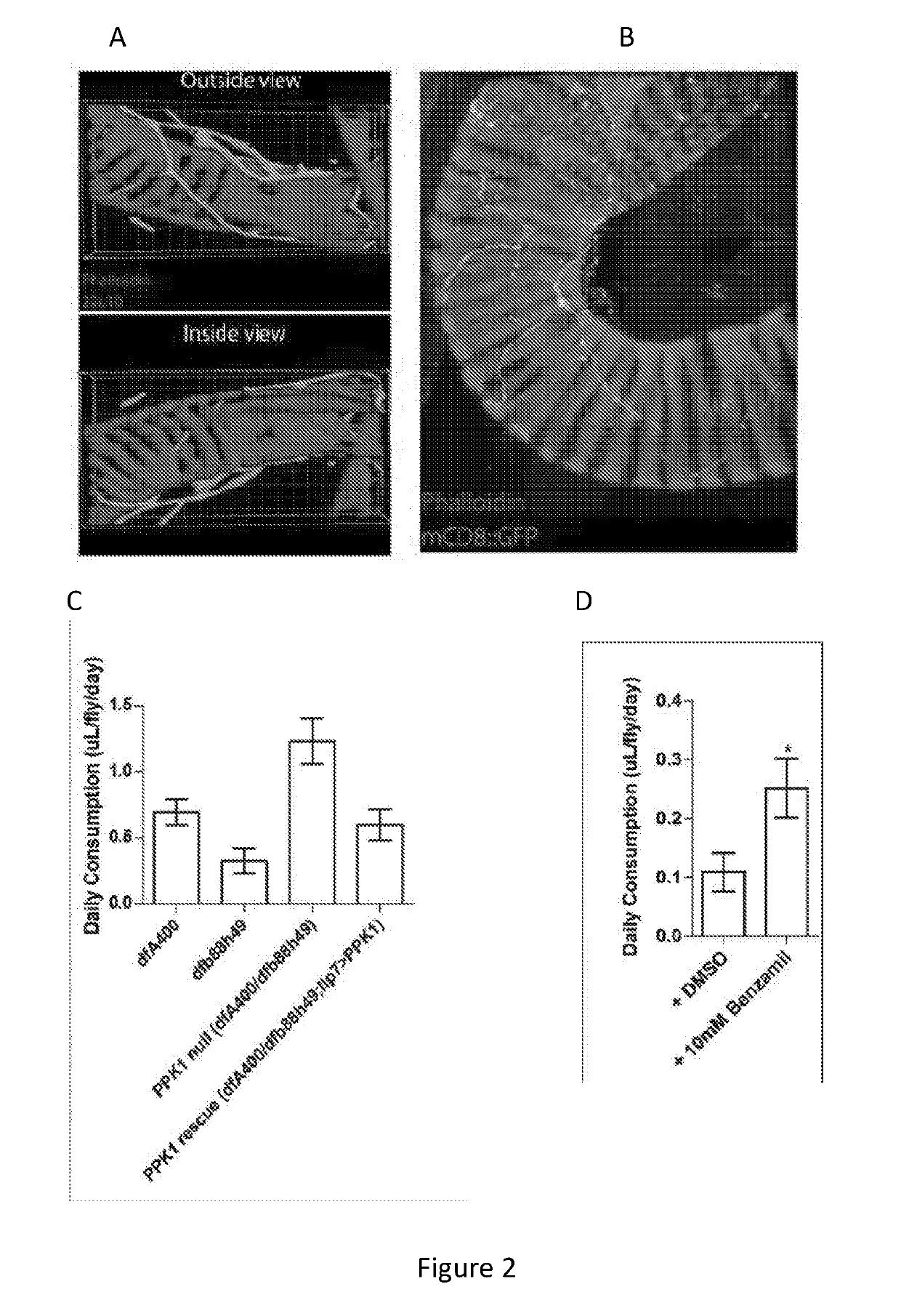 Methods and compositions for appetite control and weight management