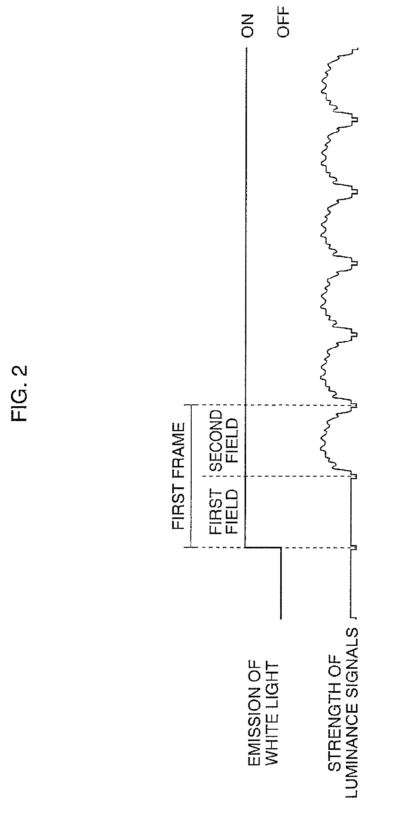 Electronic endoscope