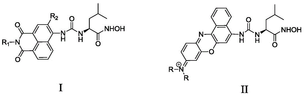 A kind of APN inhibitor with fluorescent property and its application