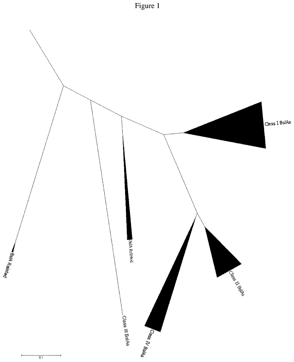 Cleaning composition