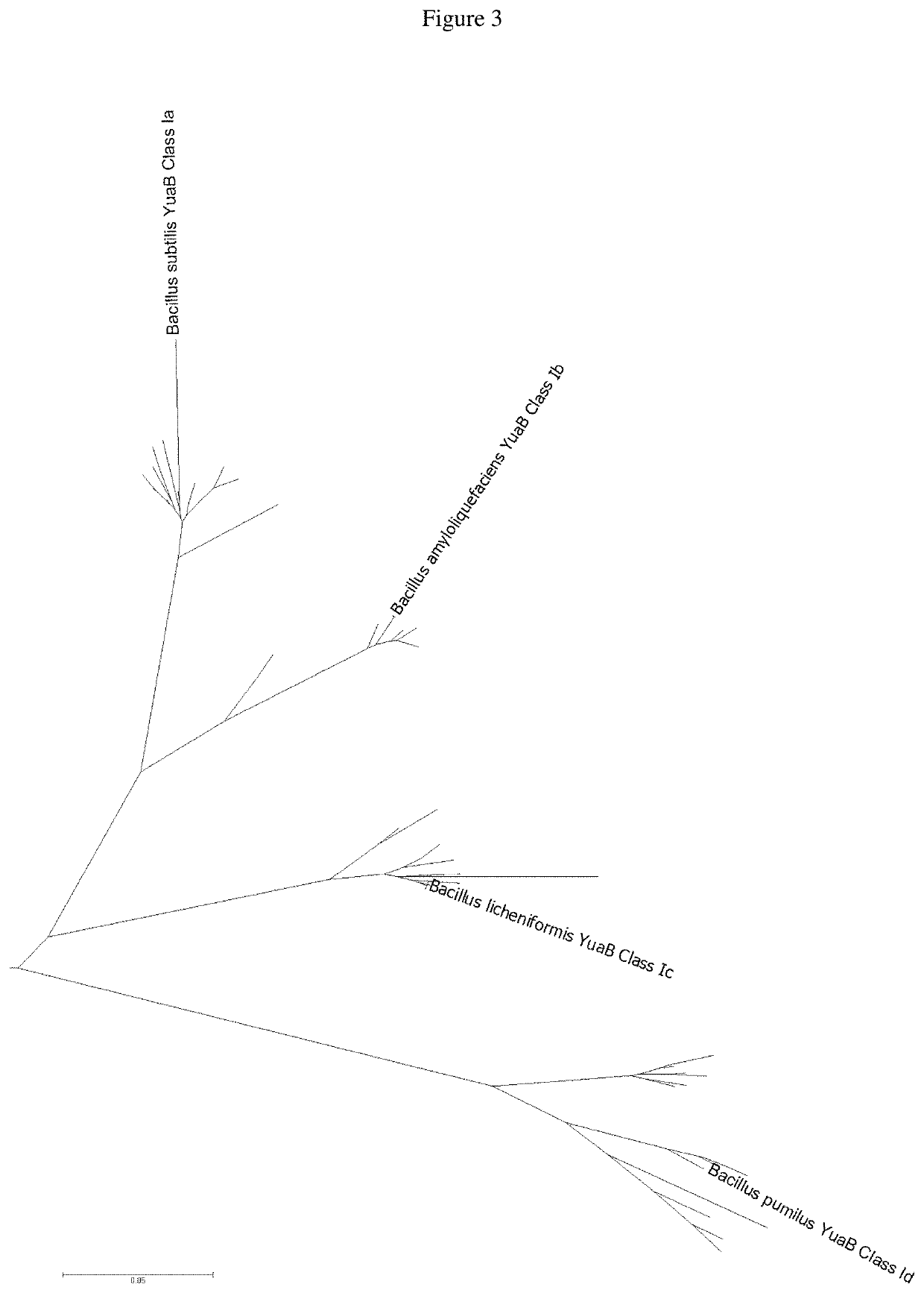 Cleaning composition