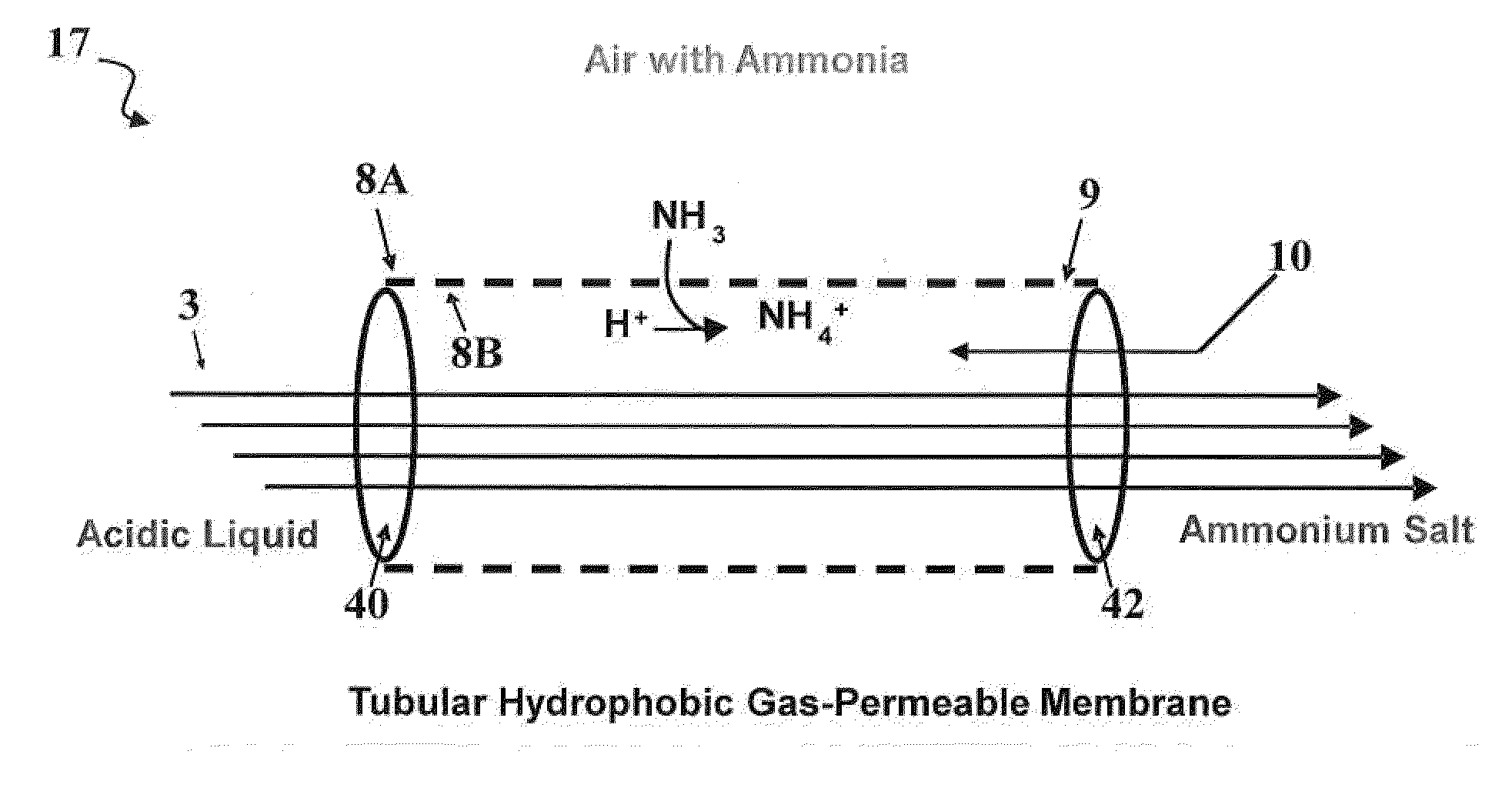 Gaseous Ammonia Removal System