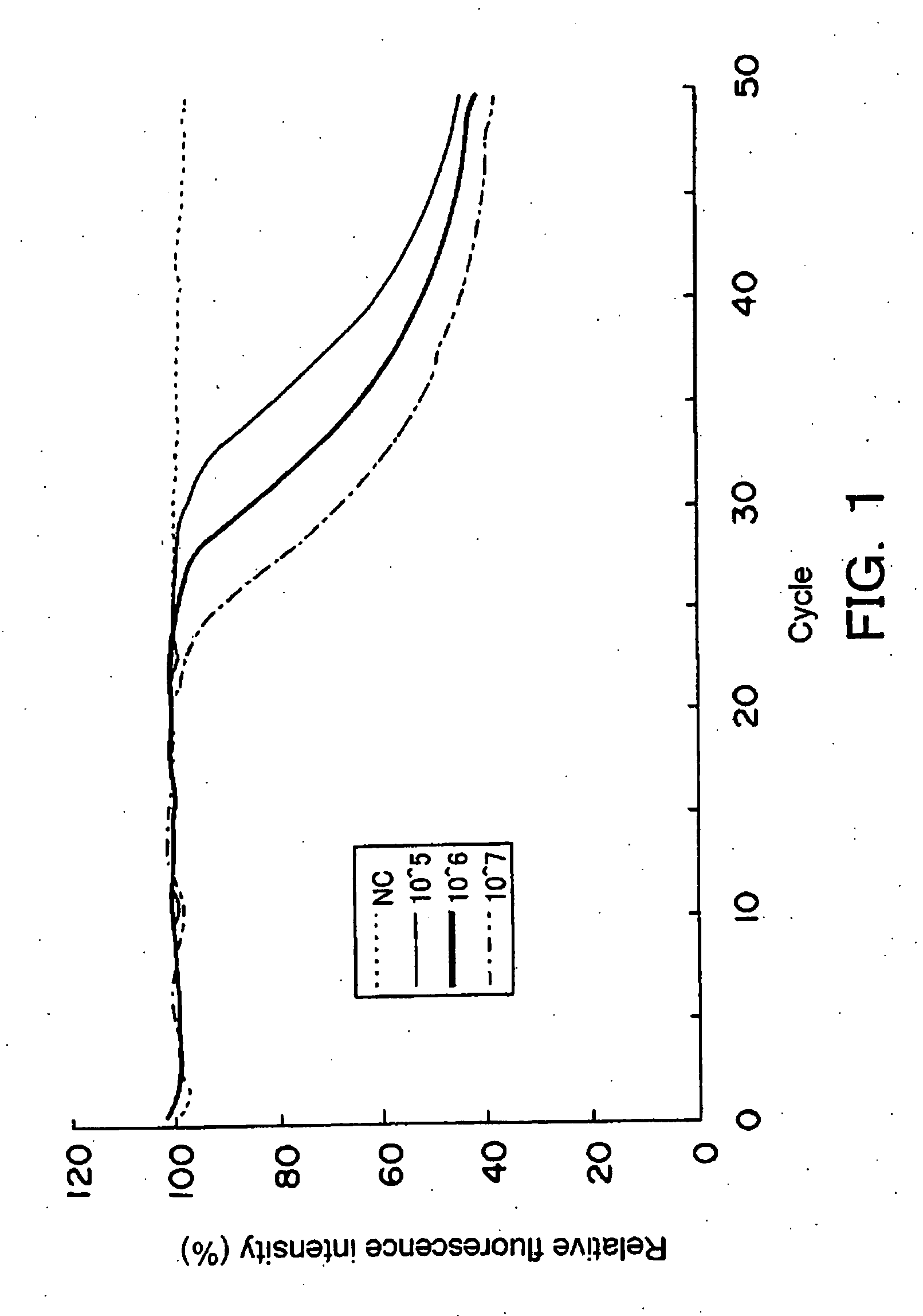 Method of detecting or quantitatively determining mitochondrial dna 3243 variation, and kit therefor