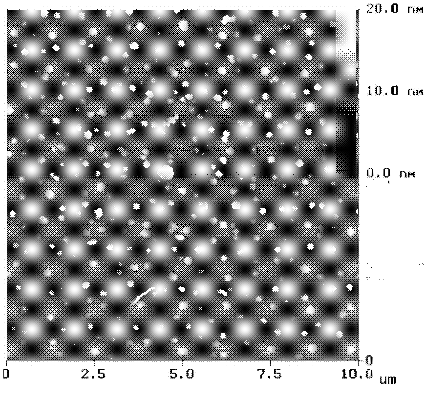 Polystyrene nanoparticle adsorbed on mica sheet surface and preparation method thereof