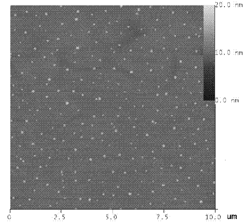 Polystyrene nanoparticle adsorbed on mica sheet surface and preparation method thereof