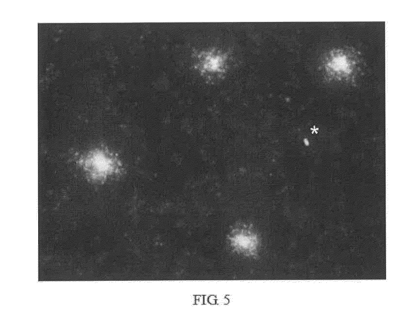 Method for evaluating bacterial cell wall integrity