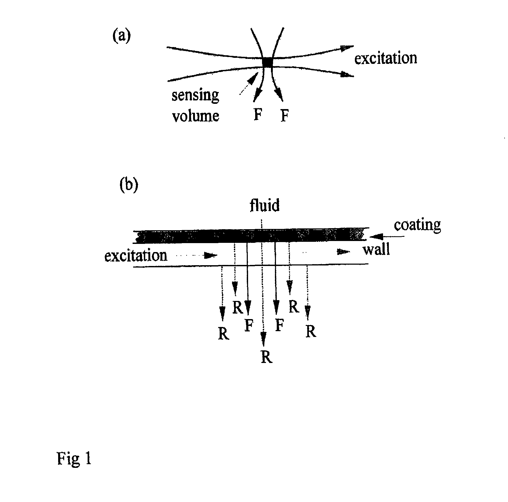 Dual detector capillary waveguide biosensor and method for use thereof