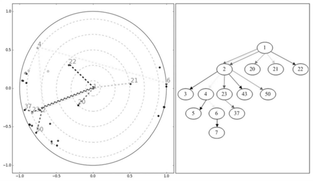 A Method for Learning Function-Hierarchical Embedding Representations in Source Code in Hyperbolic Spaces
