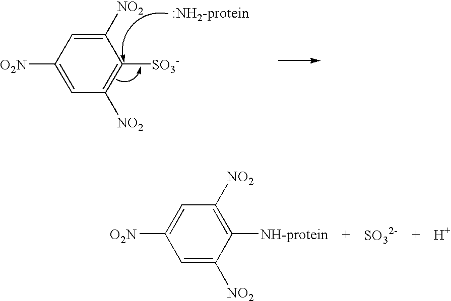 Process for Making a Low Molecular Weight Gelatine Hydrolysate and Gelatine Hydrolysate Compositions
