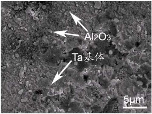 Ta-W-Al-Al2O3 alloy rod and preparation method thereof