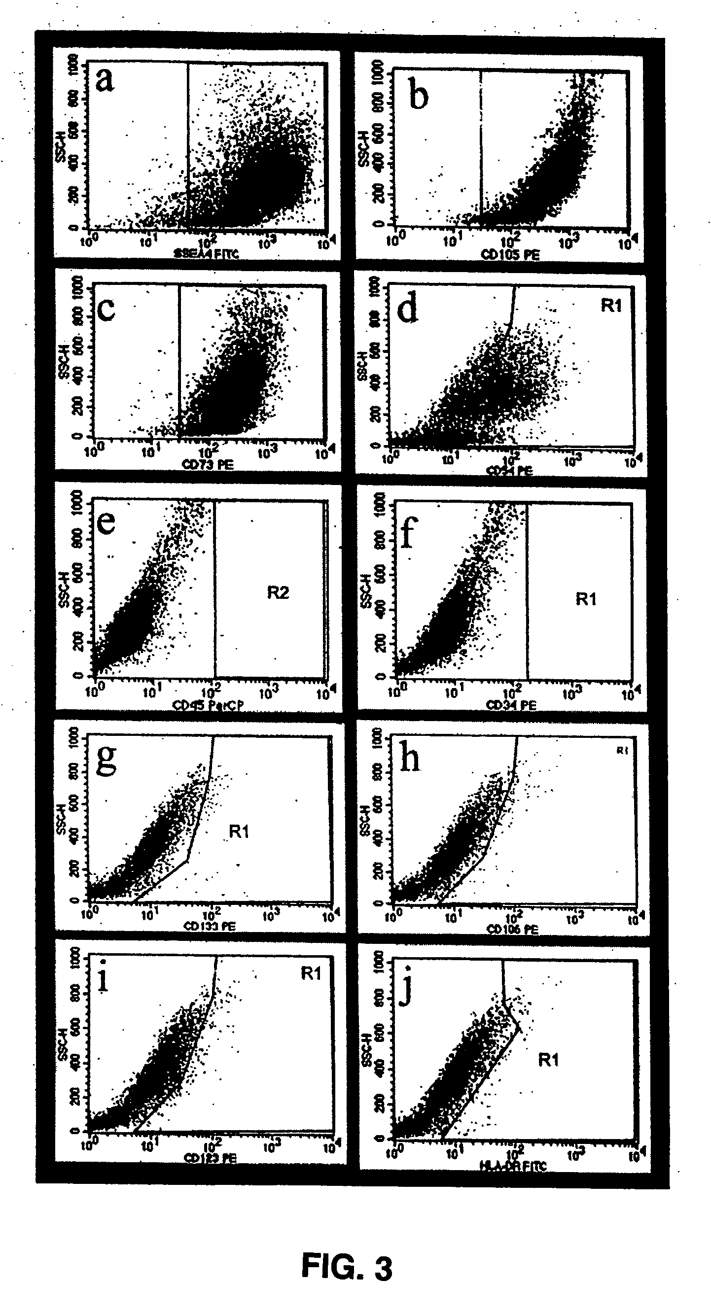 Pluripotent embryonic-like stem cells derived from corneal limbus, methods of isolation and uses thereof