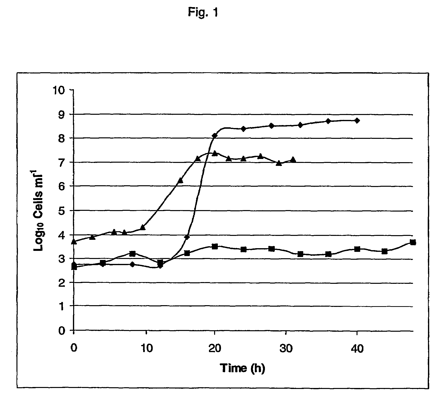 Composition comprising a Lactobacillus pentosus strain and uses thereof