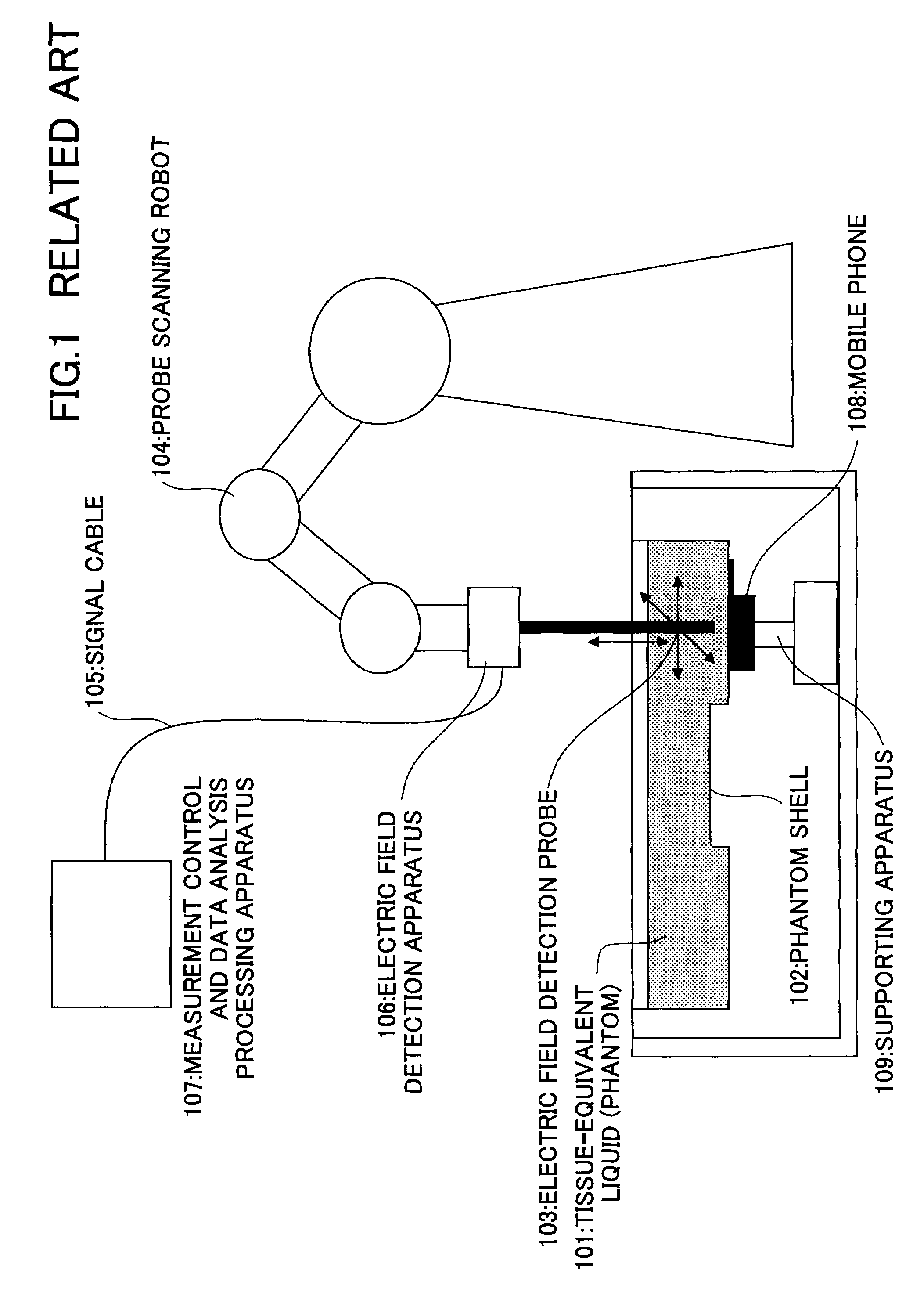 Specific absorption rate measurement system and method