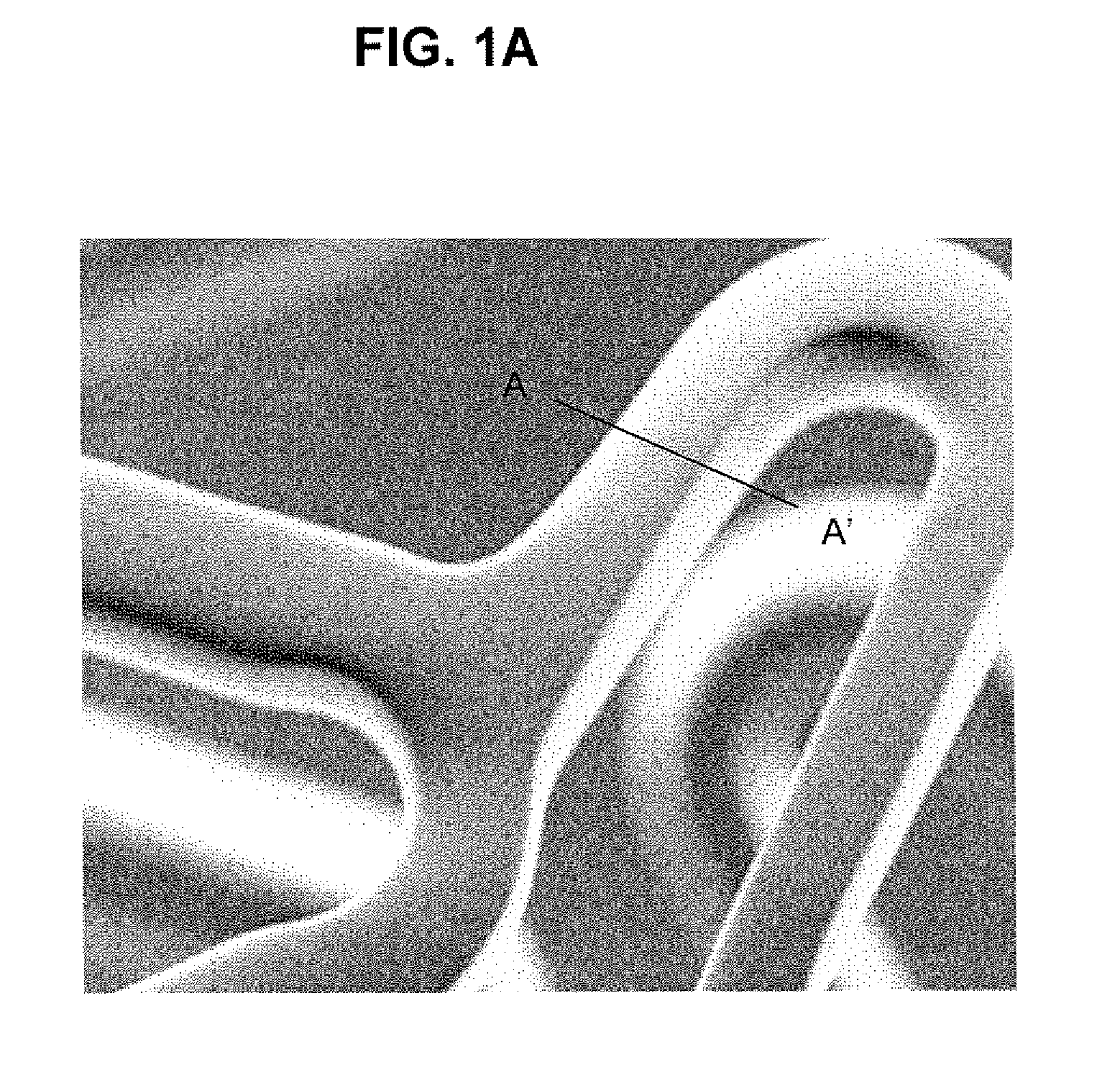 Vasodilator Eluting Luminal Stent Devices With A Specific Polyphosphazene Coating and Methods for Their Manufacture and Use