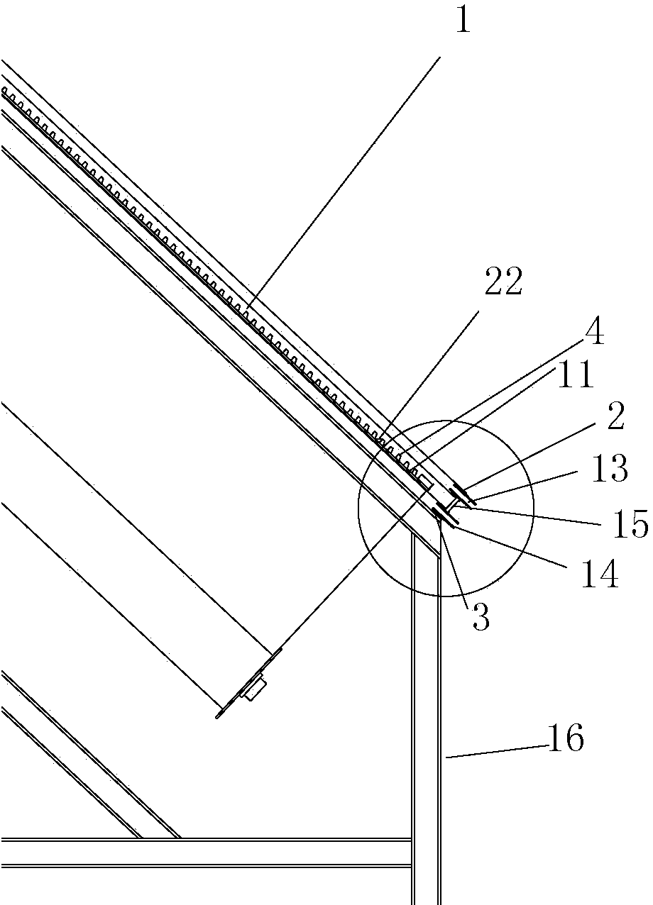 Device for processing food waste or sludge in low-temperature evaporation mode through solar flat sheet membranes