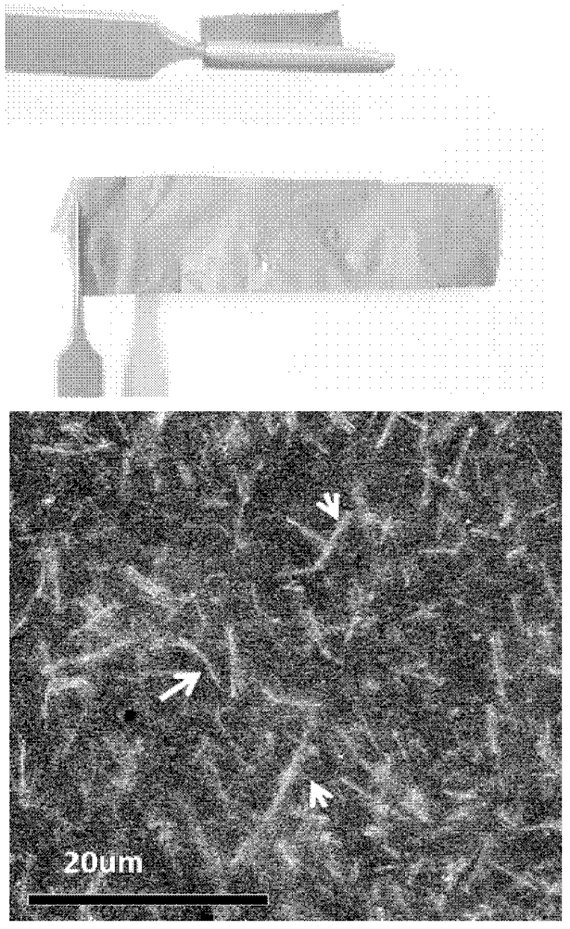 Polymer matrix composite membrane with high energy density and preparation method thereof
